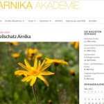 website arnika-akademie